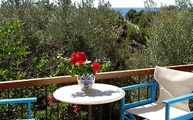 Olive Tree Cottages
